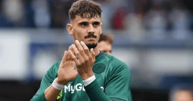 mihailo ivanović milvol