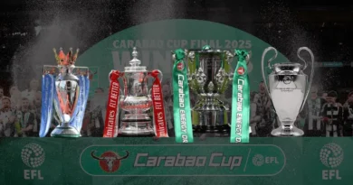 premijer liga trofeji ilustracija