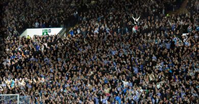 šefild venzdej navijači