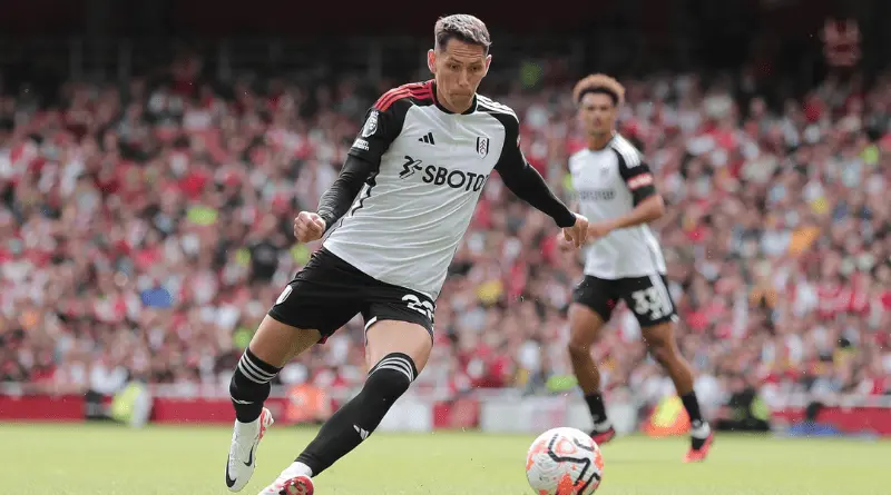 Saša Lukić | Biografija, klubovi, reprezentacija