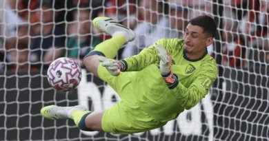 Đorđe Petrović na golu Bornmuta