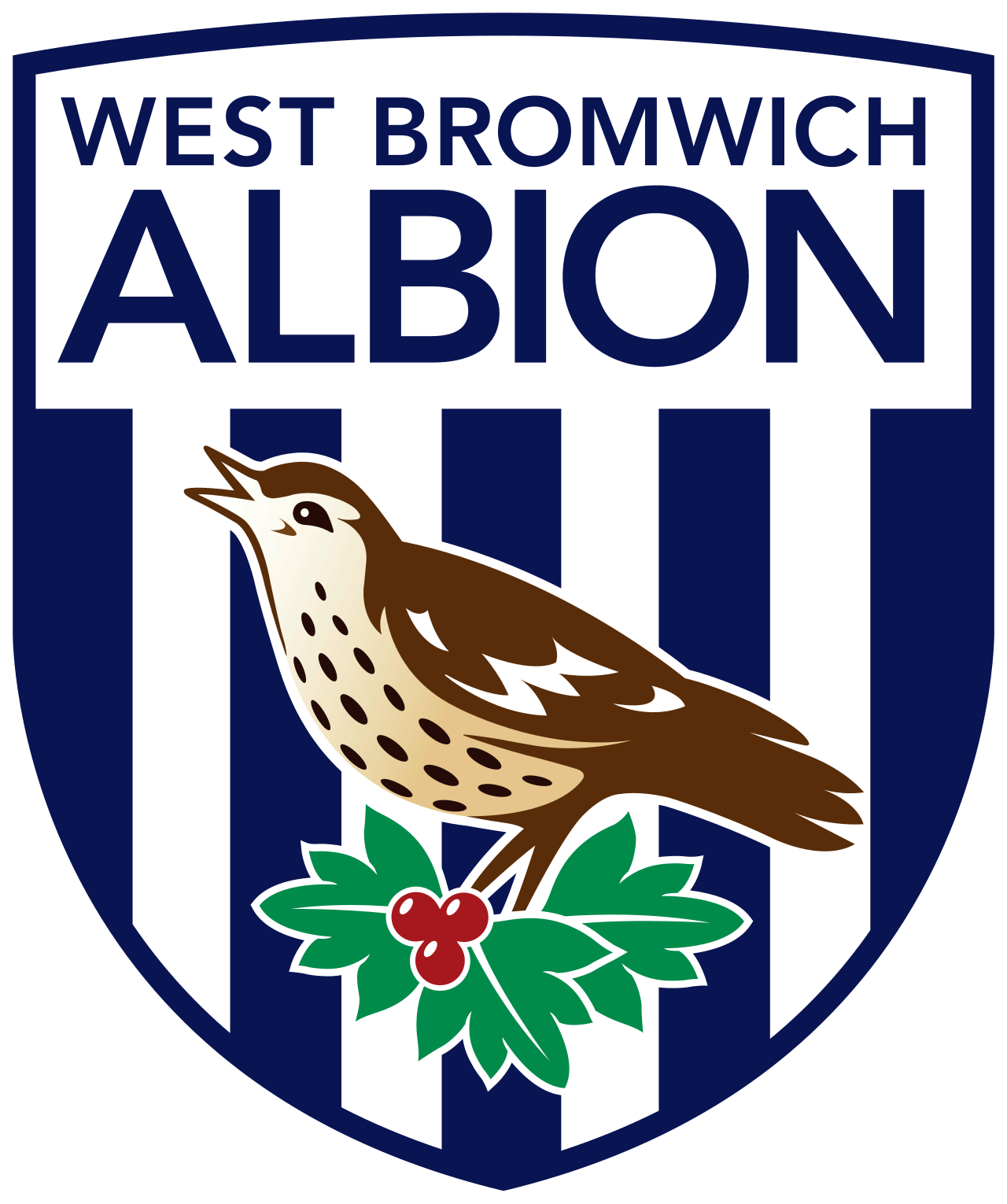 Vest Bromvič Albion